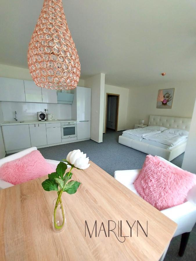 The Meetinka Apartments Jeseník Exteriér fotografie